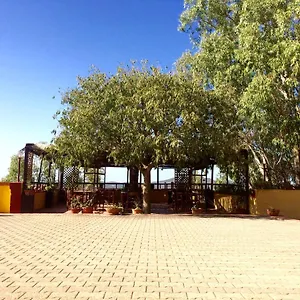 Agriturismo E Antica Fattoria Matteu Couette-café